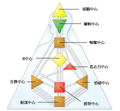 能量 顏色意義|【能量顏色意義】如何從AVS氣場儀拍出你獨特的氣場照並分析。